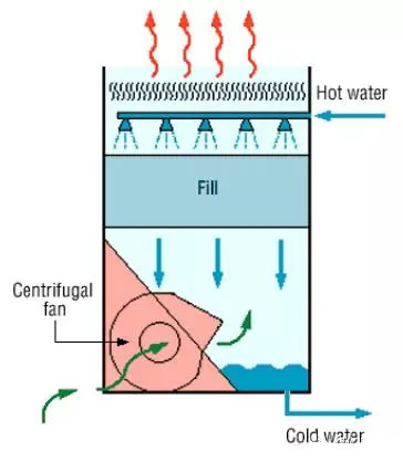 640.webp-(6).jpg